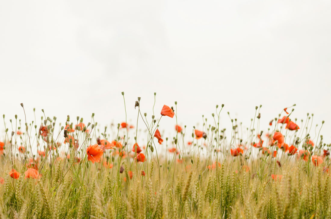 Aloneness within togetherness